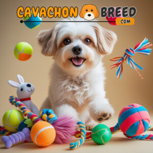 Best cavachon dog breeders in new york 3 cavachon